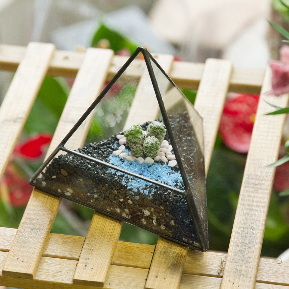 Handmade Pyramid Geometric Glass Terrarium for Succulent Fern Moss Airplants Cacti - NCYPgarden