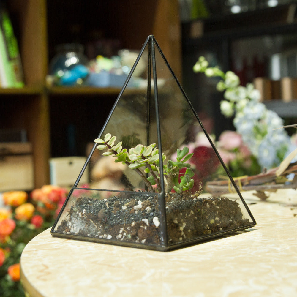 Handmade Pyramid Geometric Glass Terrarium for Succulent Fern Moss Airplants Cacti - NCYPgarden