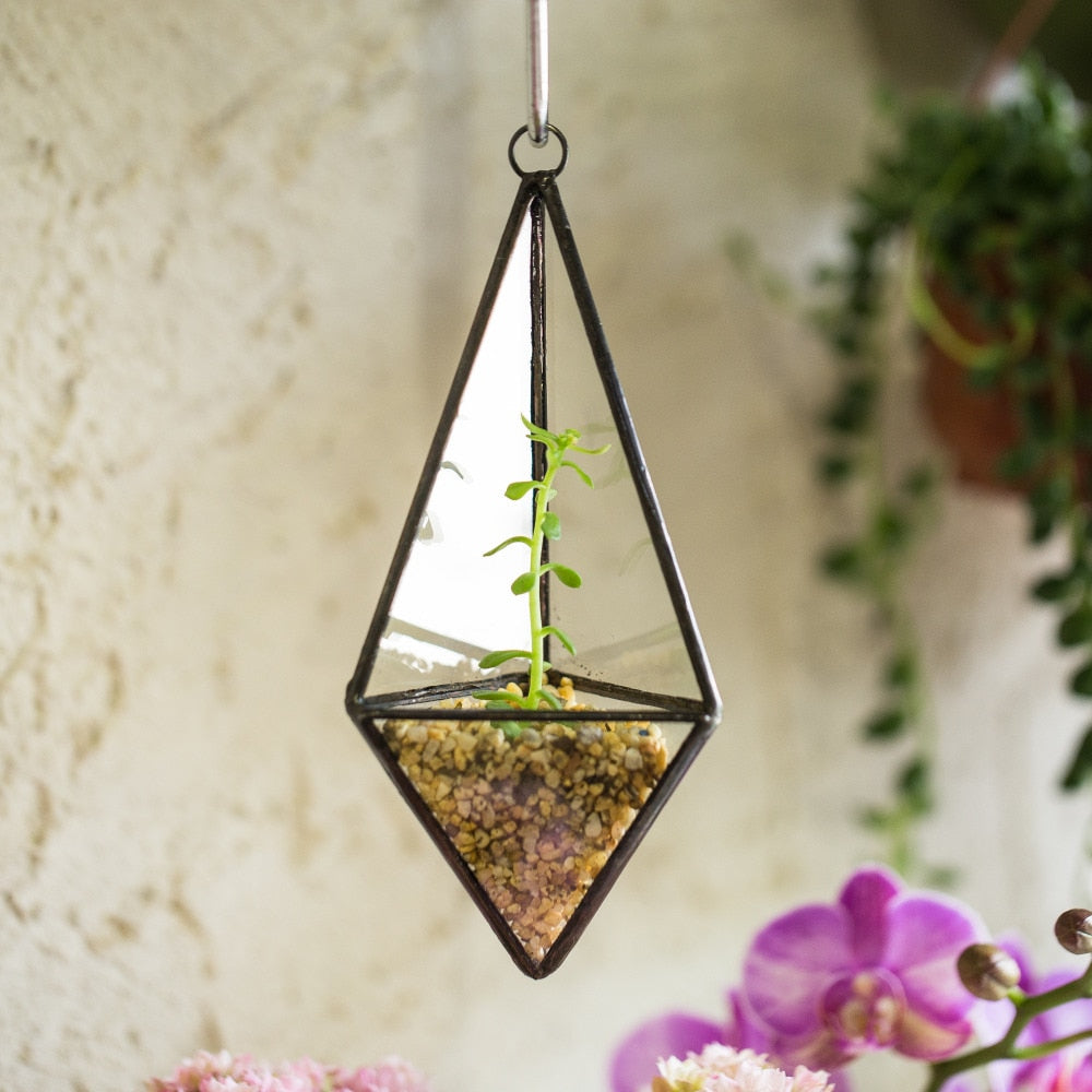 Handmade Hanging Mini Triangular Glass Geometric Terrarium for Fern Moss Succulent Airplants - NCYPgarden