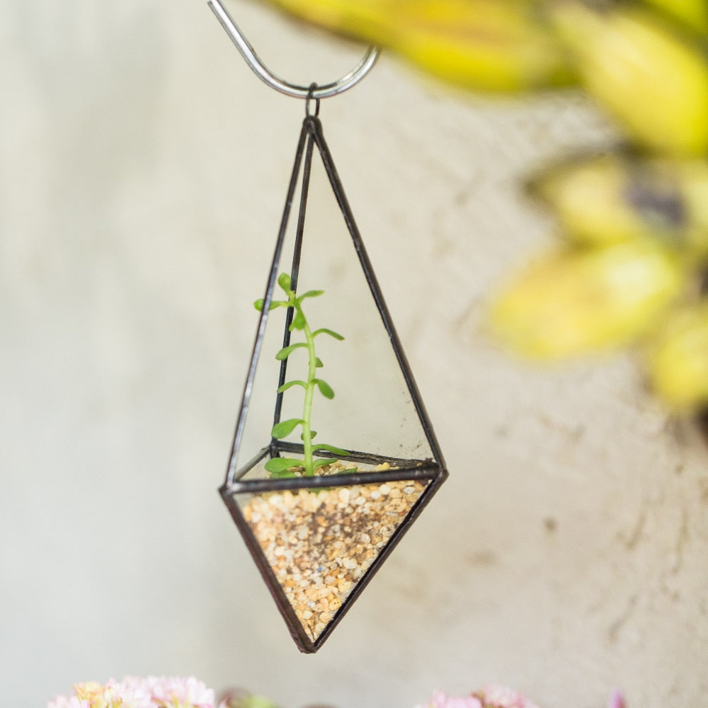 Handmade Hanging Mini Triangular Glass Geometric Terrarium for Fern Moss Succulent Airplants - NCYPgarden