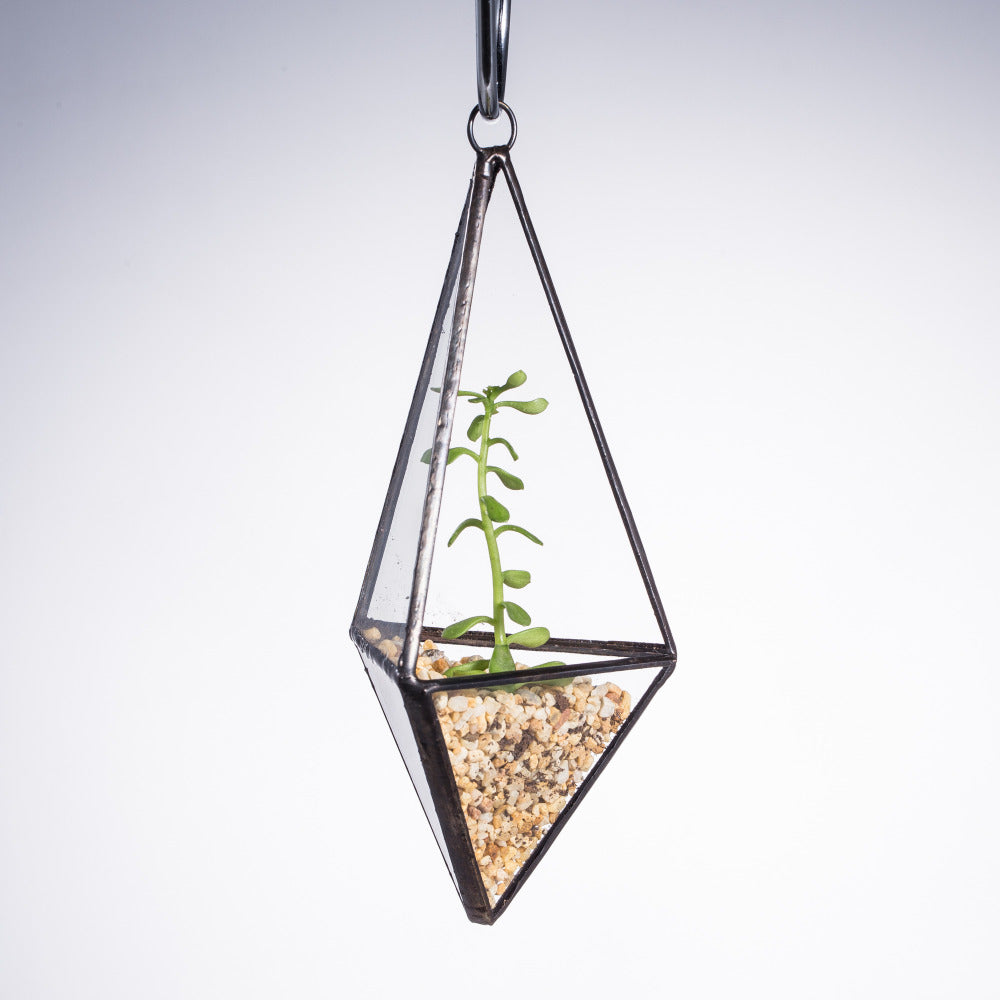 Handmade Hanging Mini Triangular Glass Geometric Terrarium for Fern Moss Succulent Airplants - NCYPgarden