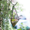 Handmade Hanging Mini Triangular Glass Geometric Terrarium for Fern Moss Succulent Airplants - NCYPgarden