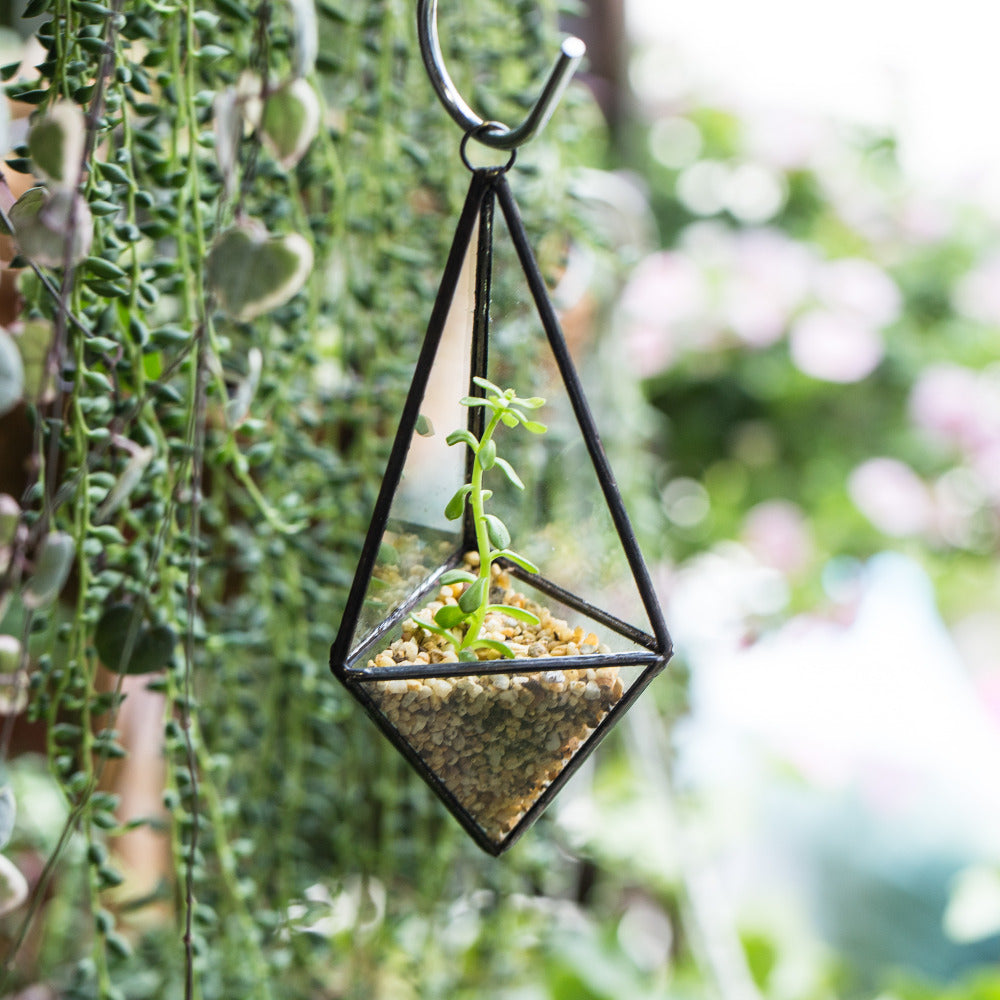 Handmade Hanging Mini Triangular Glass Geometric Terrarium for Fern Moss Succulent Airplants - NCYPgarden