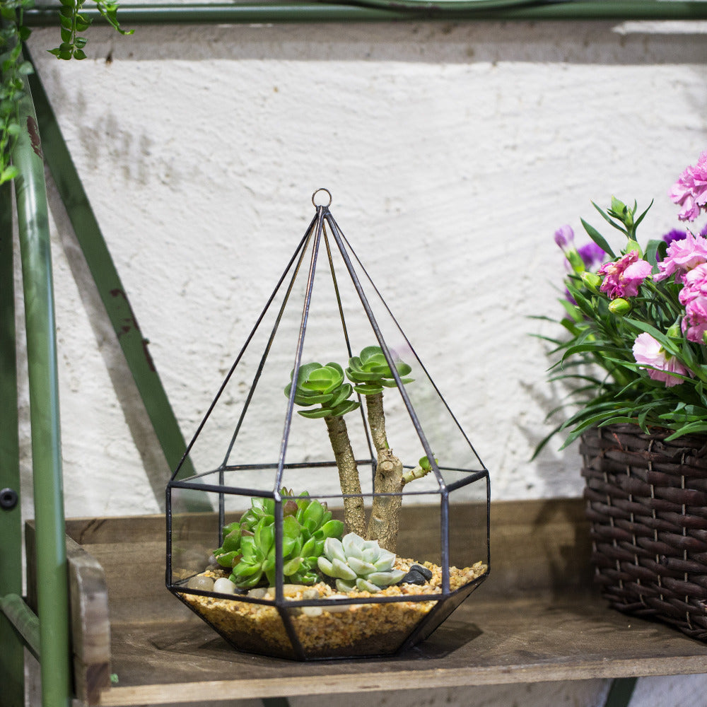 Handmade Hanging Six-surface Diamond Glass Geometric Terrarium with 3 Spaced Opening for Succulents - NCYPgarden
