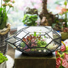 Handmade 11" Height Long Irregular Oval Geometric Glass Terrarium Lantern for Fern Moss Succulents - NCYPgarden