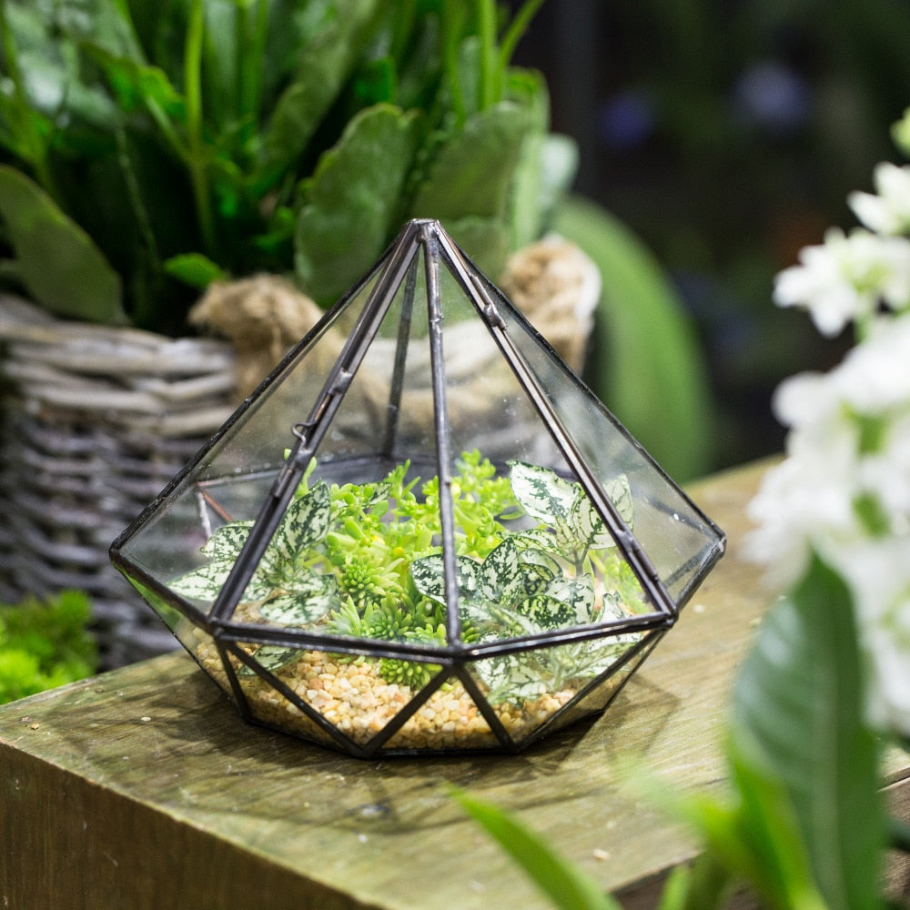 Handmade Diamond Black Glass Geometric Terrarium with Door for Succulents Moss Airplants - NCYPgarden