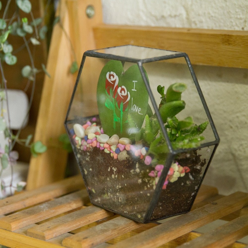 hexagon succulent planter Order Handmade Wall Geometric Hexagon Glass Terrarium Box – NCYPgarden