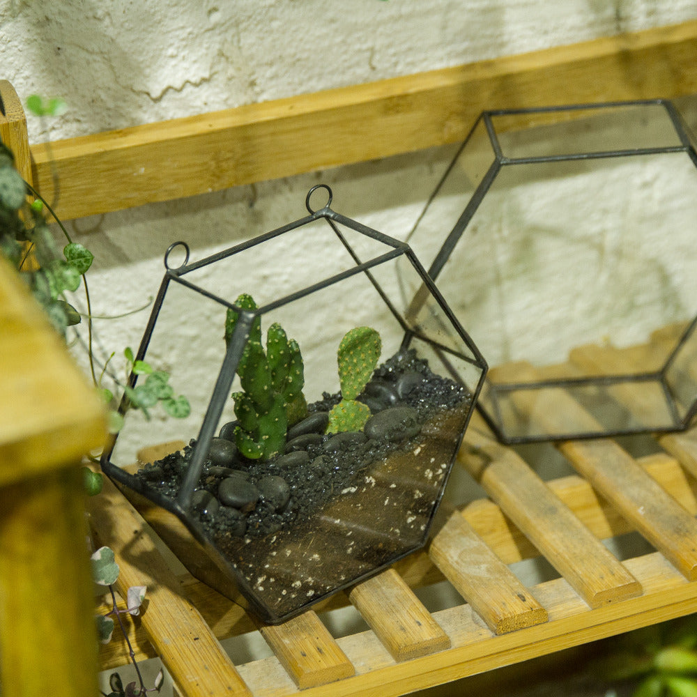 Handmade Wall Geometric Hexagon Glass Terrarium Box for Fern Moss Succulent Airplants Cacti - NCYPgarden