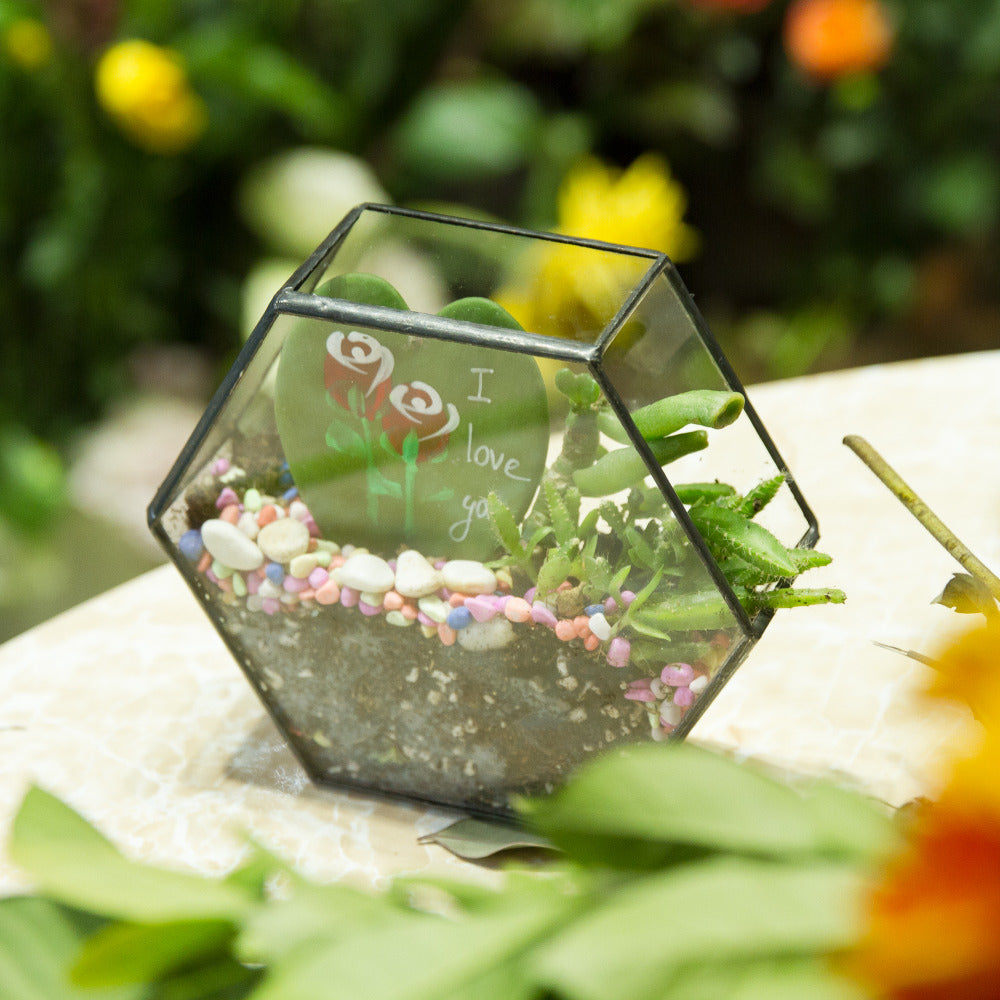 Handmade Wall Geometric Hexagon Glass Terrarium Box for Fern Moss Succulent Airplants Cacti - NCYPgarden