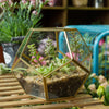 Handmade Gold Pentagon Geometric Glass Terrarium for Succulent Moss Airplants Wedding - NCYPgarden