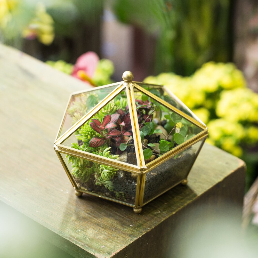 Handmade Gold Artistic Tabletop Glass Geometric Terrarium Jewel-boxed Shape with Lid for Succulent - NCYPgarden