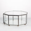 Handmade Regular Octagon Glass Geometric Terrarium for Succulent Decoration - NCYPgarden