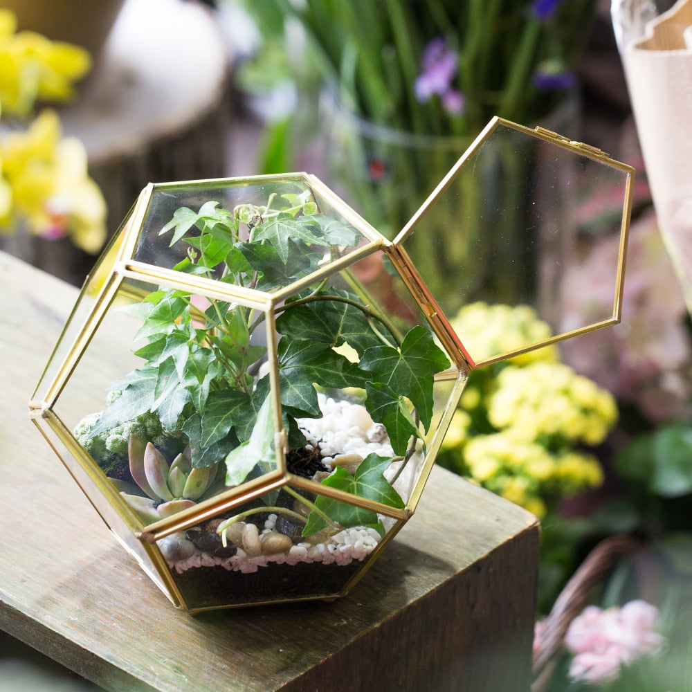 Handmade Copper Pentagon Glass Geometric Terrarium with Feet and Door for Succulent Moss Air Plant - NCYPgarden