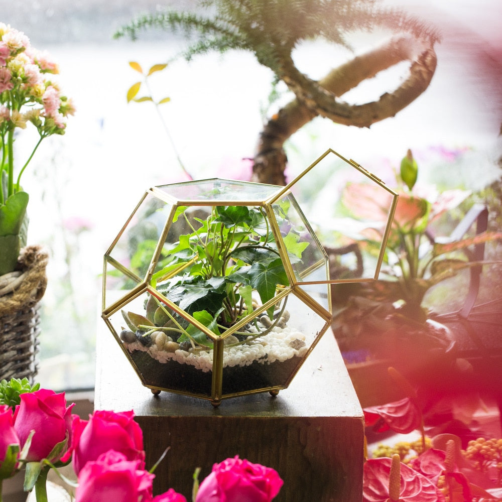 Handmade Copper Pentagon Glass Geometric Terrarium with Feet and Door for Succulent Moss Air Plant - NCYPgarden
