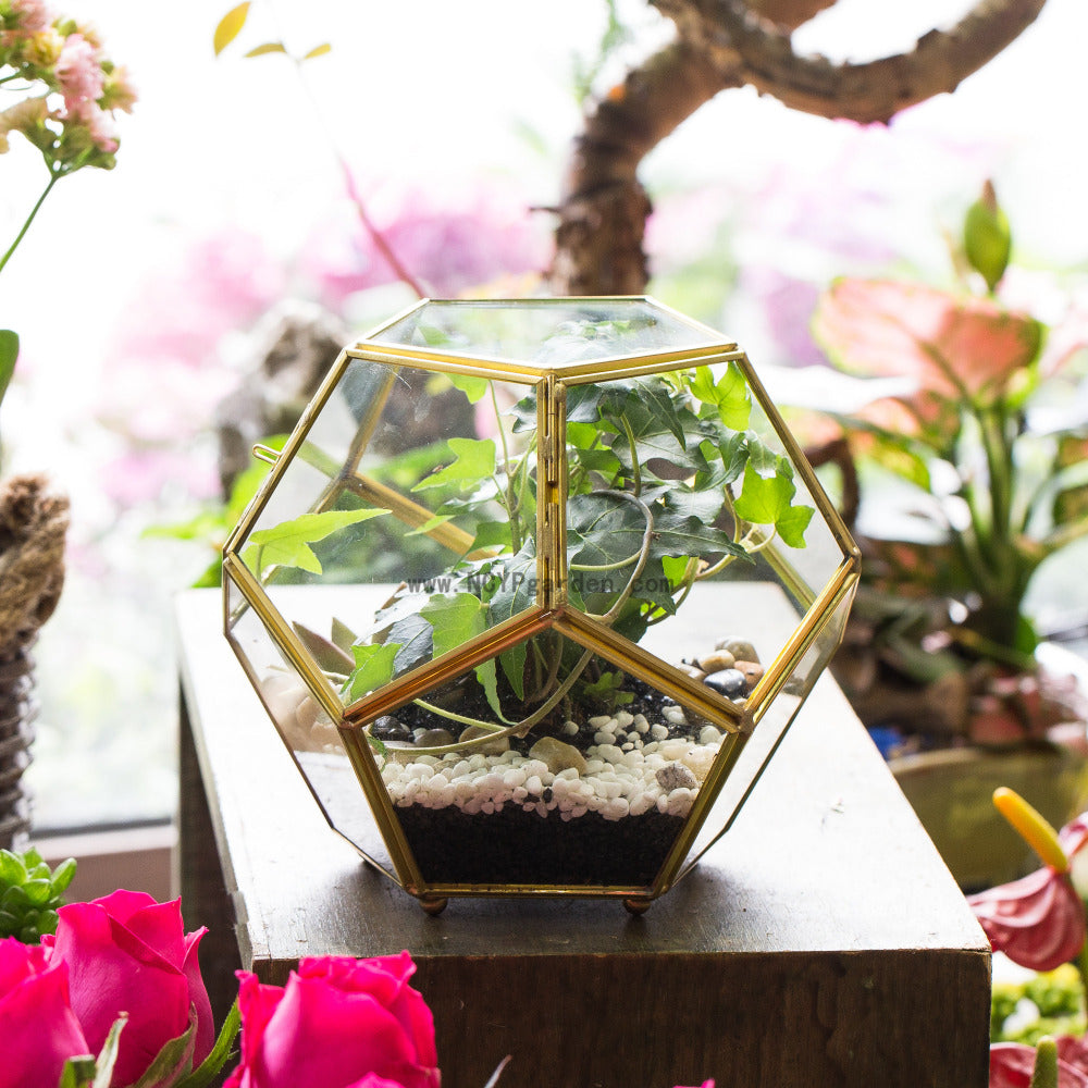 Handmade Copper Pentagon Glass Geometric Terrarium with Feet and Door for Succulent Moss Air Plant - NCYPgarden