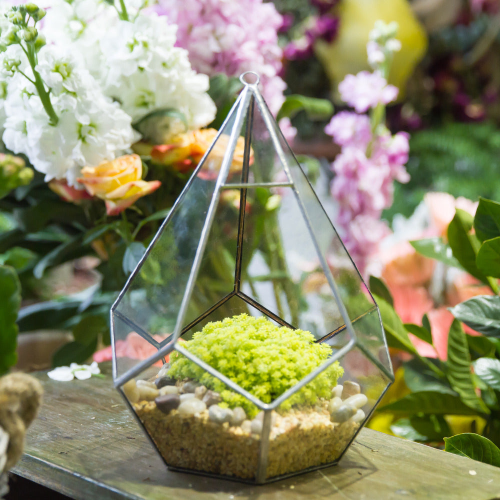 Handmade Silver Hanging Teardrop Shape Geometric Glass Terrarium for Succulent Moss Fern - NCYPgarden