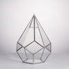 Handmade Silver Hanging Teardrop Shape Geometric Glass Terrarium for Succulent Moss Fern - NCYPgarden