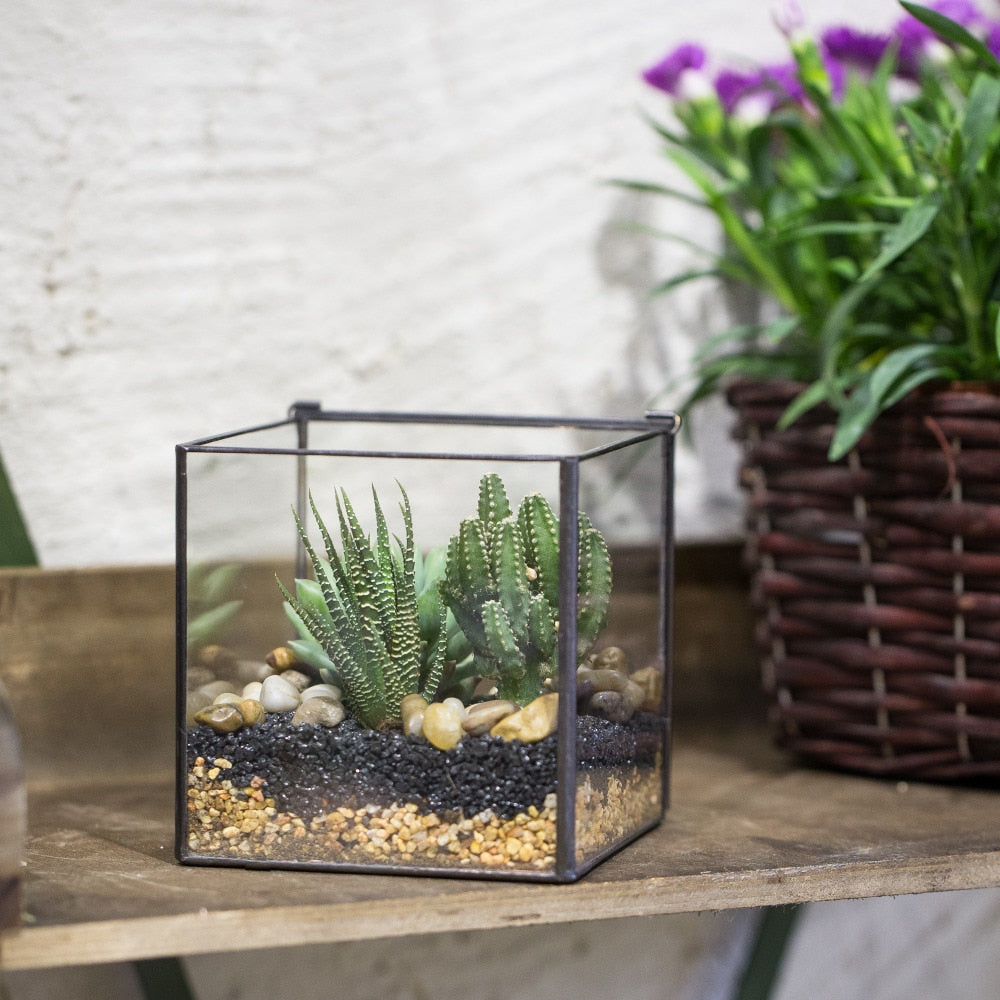Handmade Square Glass Geometric Terrarium with Lid for Fern Moss Succulents Cacti - NCYPgarden