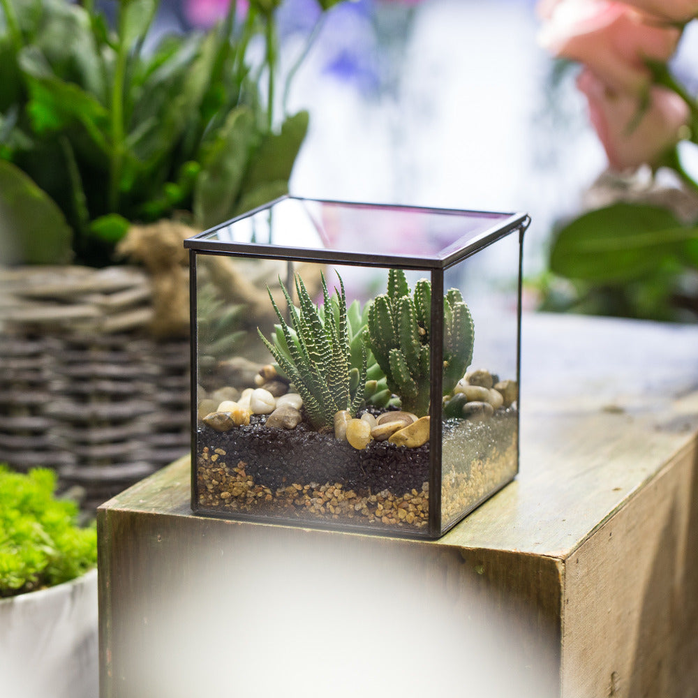Handmade Square Glass Geometric Terrarium with Lid for Fern Moss Succulents Cacti - NCYPgarden