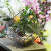 Handmade Cube Black Glass Geometric Terrarium Container for Moss Fen Succulents - NCYPgarden