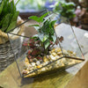 Handmade Cube Black Glass Geometric Terrarium Container for Moss Fen Succulents - NCYPgarden