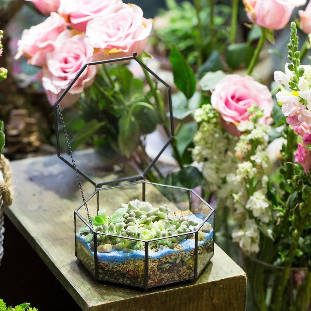 Handmade Flat Octagon Glass Geometric Terrarium for Succulents Fern Moss - NCYPgarden