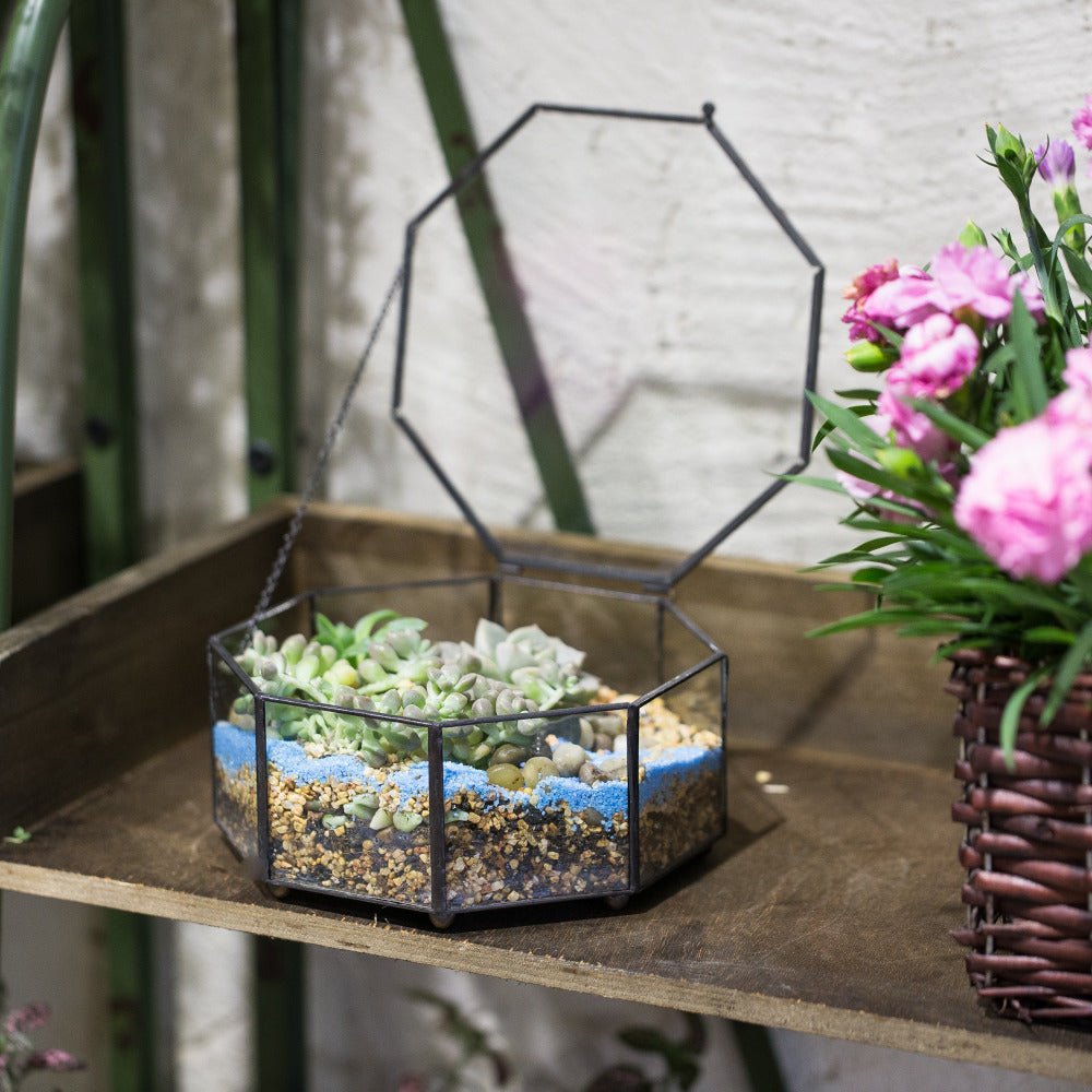 Handmade Flat Octagon Glass Geometric Terrarium for Succulents Fern Moss - NCYPgarden