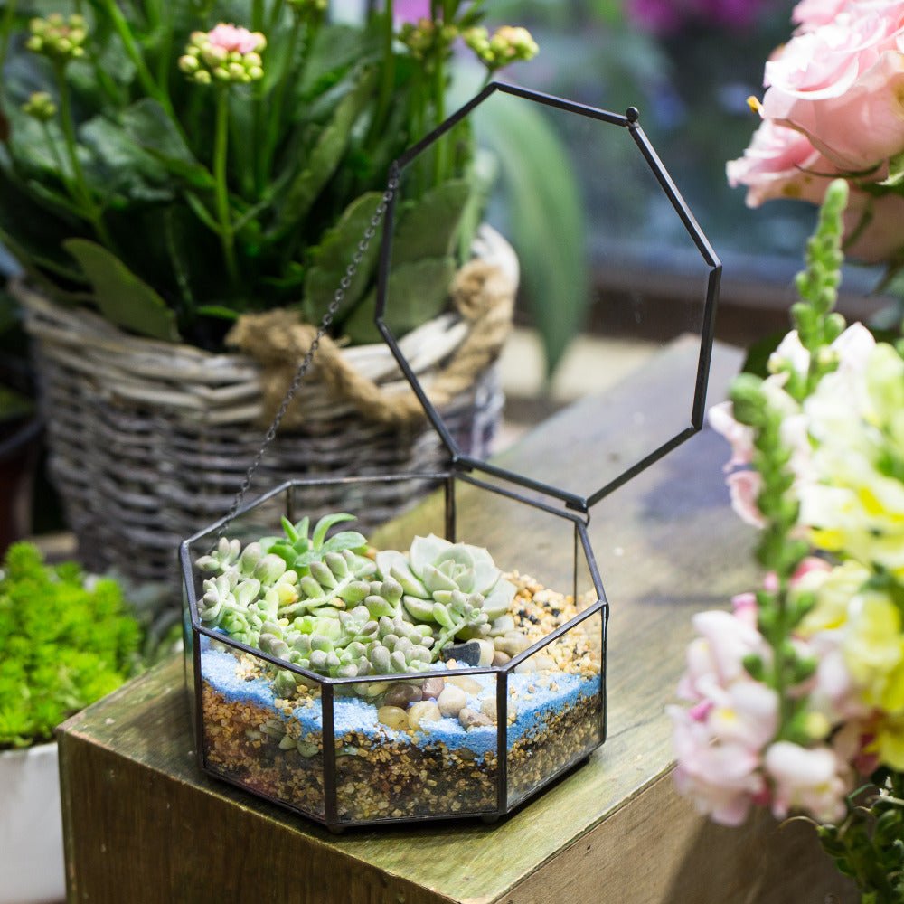 Handmade Flat Octagon Glass Geometric Terrarium for Succulents Fern Moss - NCYPgarden