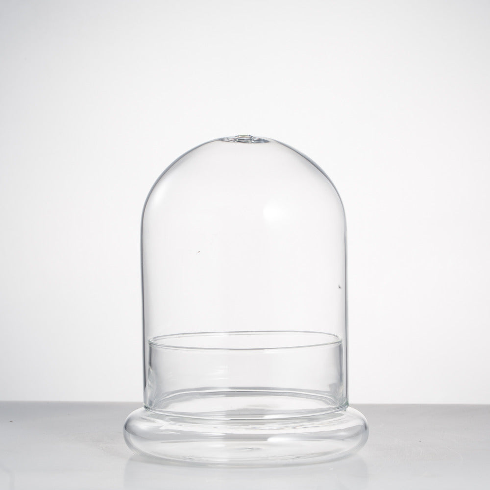 Blown 2 Piece Glass Cloche Dome Cover Terrarium Container with Without Airhole for Venus Flytrap - NCYPgarden