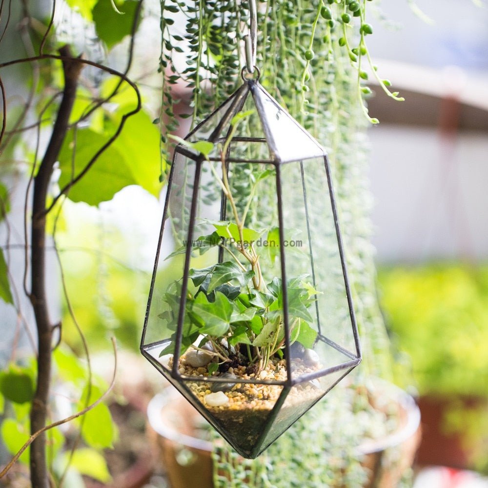 hanging terrarium plants Handmade Hanging Artistic Clear Glass Six-surfaces Diamond Geometric Terrarium DIY for Succulent Pot