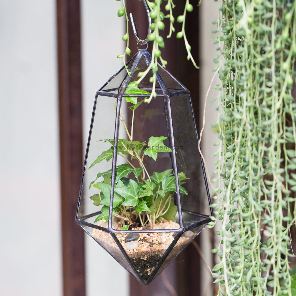Handmade Hanging Artistic Clear Glass Six-surfaces Diamond Geometric Terrarium DIY for Succulent Pot - NCYPgarden