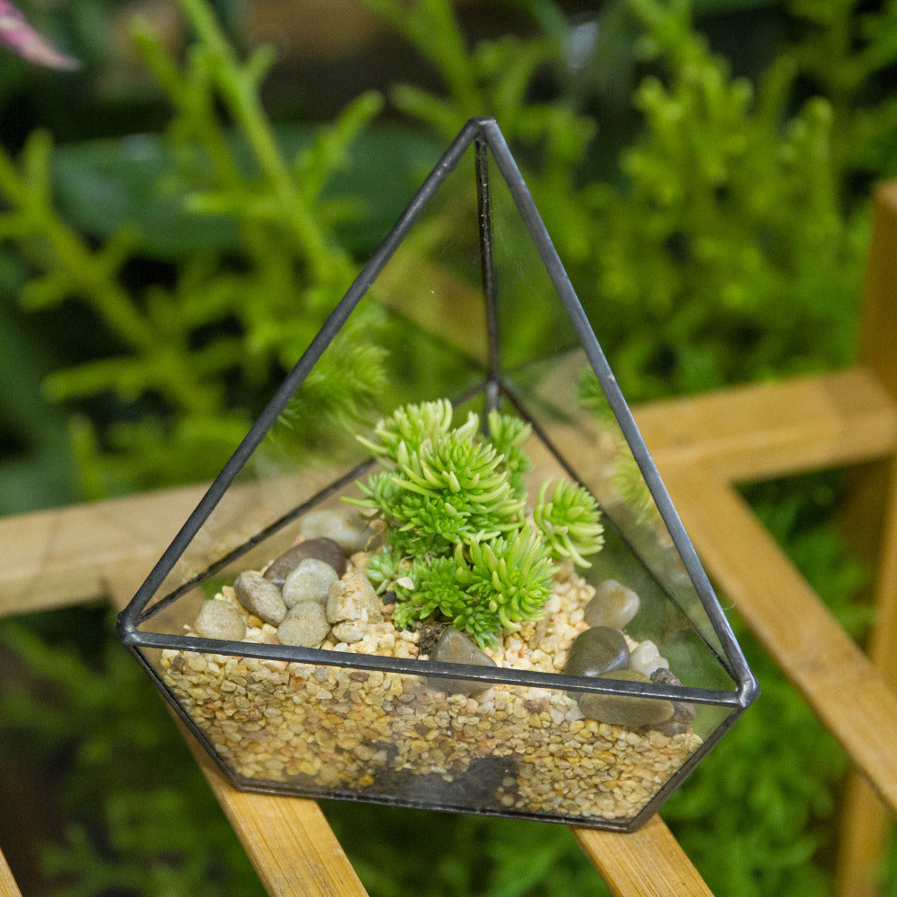 Handmade Geometric Flower Pot Small Glass Terrarium Pot for Container Balcony Garden Succulents - NCYPgarden