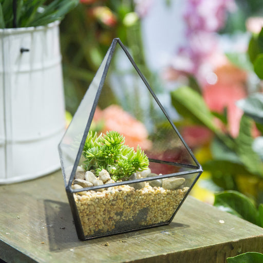 Handmade Geometric Flower Pot Small Glass Terrarium Pot for Container Balcony Garden Succulents - NCYPgarden