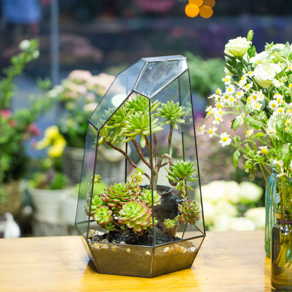 Handmade 41cm / 16" Tall Irregular Open Glass Geometric Terrarium Box for Succulent Moss  Airplants - NCYPgarden
