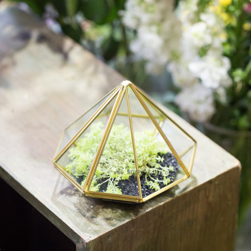 Handmade Side Open Gold Diamond Shape Glass Geometric Terrarium for Centerpiece Succulent Moss - NCYPgarden