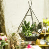 Handmade Black Hanging Teardrop Shape Glass Geometric Terrarium for Succulents Cacti - NCYPgarden