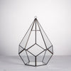 Handmade Black Hanging Teardrop Shape Glass Geometric Terrarium for Succulents Cacti - NCYPgarden