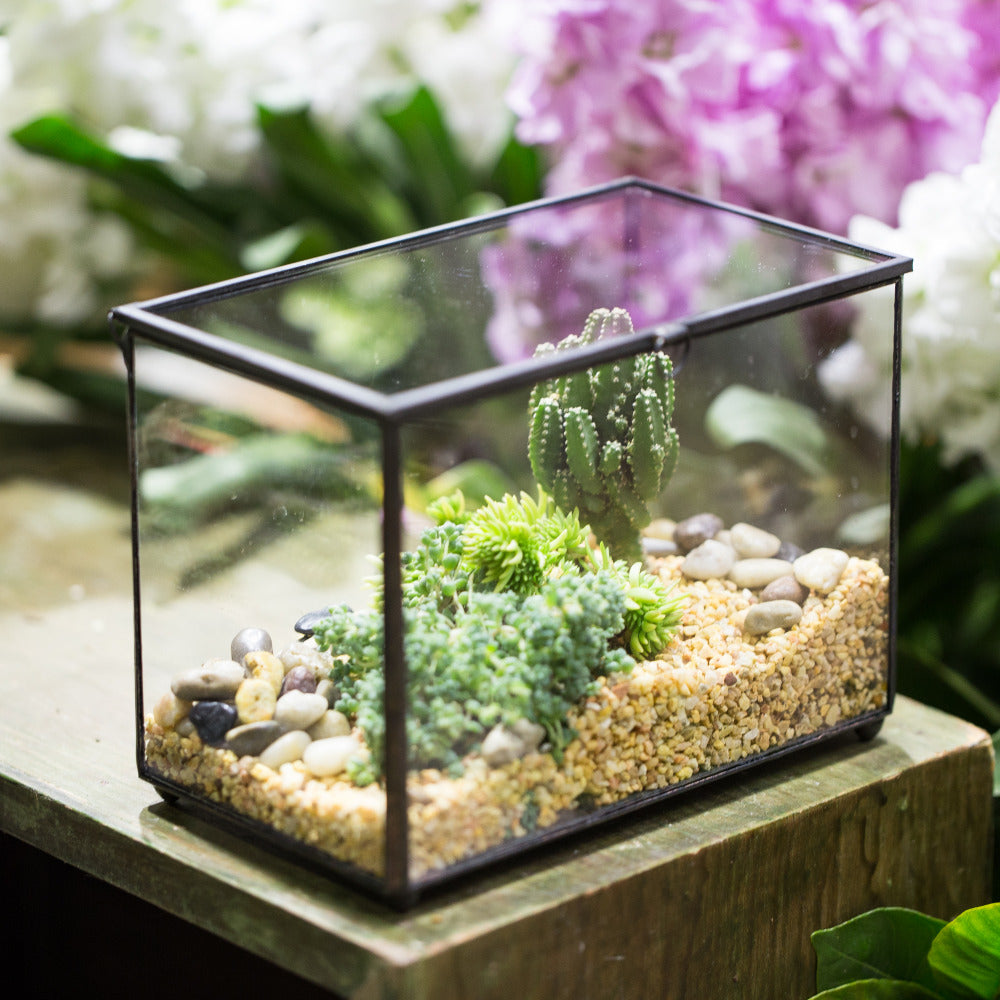 Handmade Rectangle Clear Glass Geometric Terrarium Box for Succulents Fern Moss Plant Flower - NCYPgarden