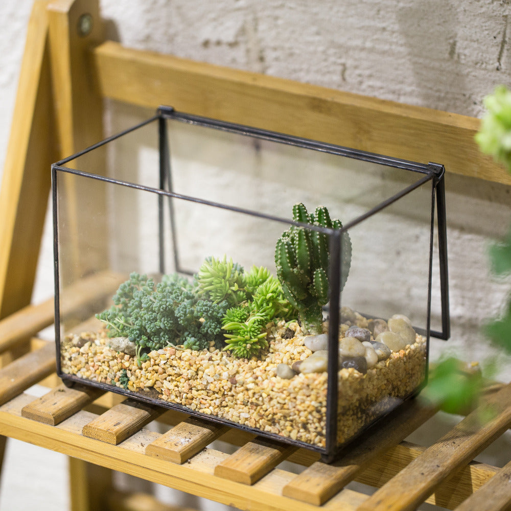 Handmade Rectangle Clear Glass Geometric Terrarium Box for Succulents Fern Moss Plant Flower - NCYPgarden
