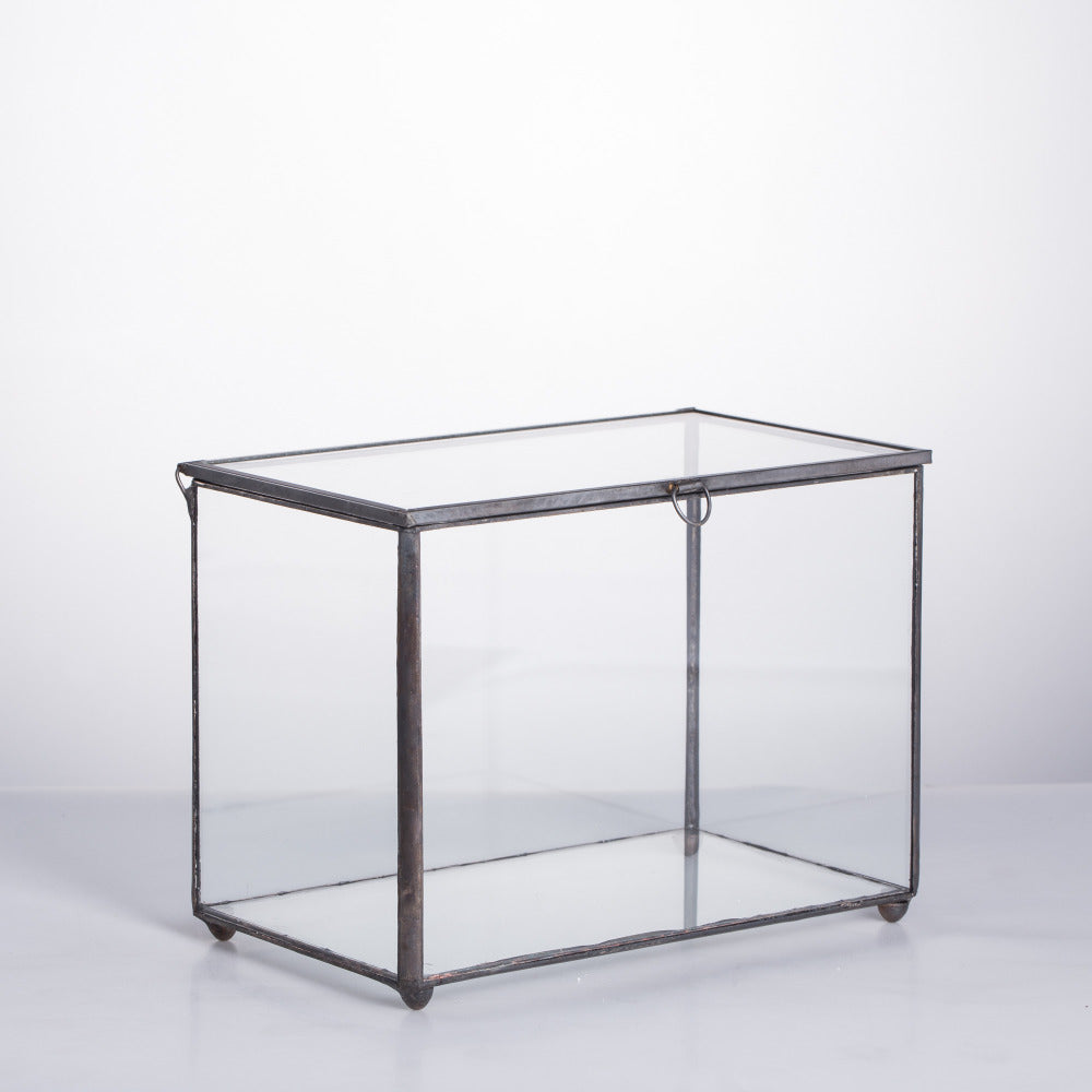 Handmade Rectangle Clear Glass Geometric Terrarium Box for Succulents Fern Moss Plant Flower - NCYPgarden