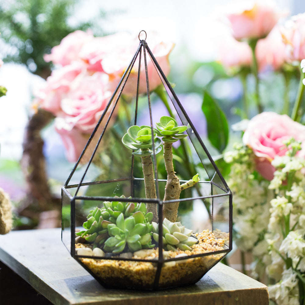 Handmade Hanging Six-surface Diamond Glass Geometric Terrarium with 3 Spaced Opening for Succulents - NCYPgarden