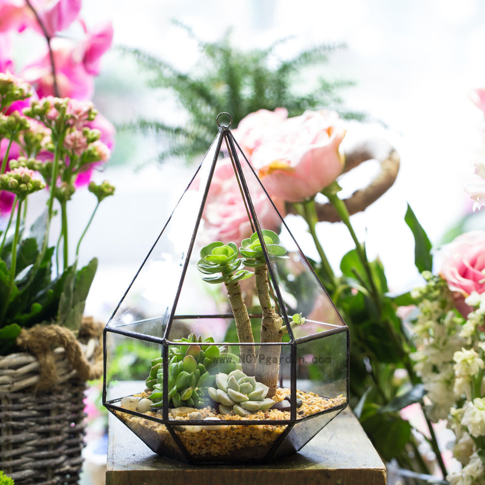 Handmade Hanging Six-surface Diamond Glass Geometric Terrarium with 3 Spaced Opening for Succulents - NCYPgarden