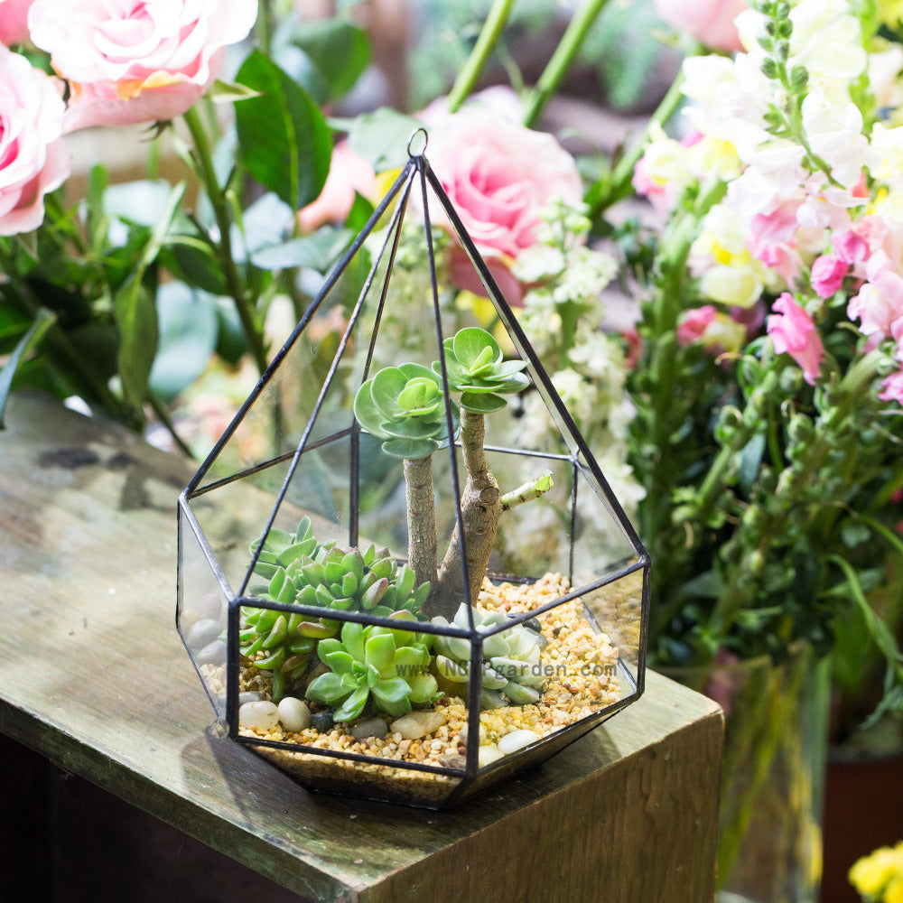 Handmade Hanging Six-surface Diamond Glass Geometric Terrarium with 3 Spaced Opening for Succulents - NCYPgarden