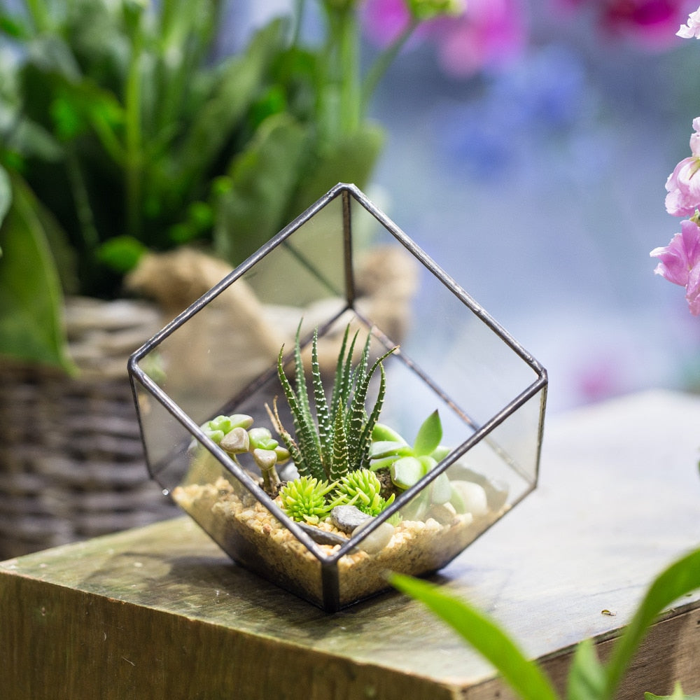 Handmade Inclined Cube Glass Geometric Terrarium Box Various Size Door Available for Succulent Moss - NCYPgarden