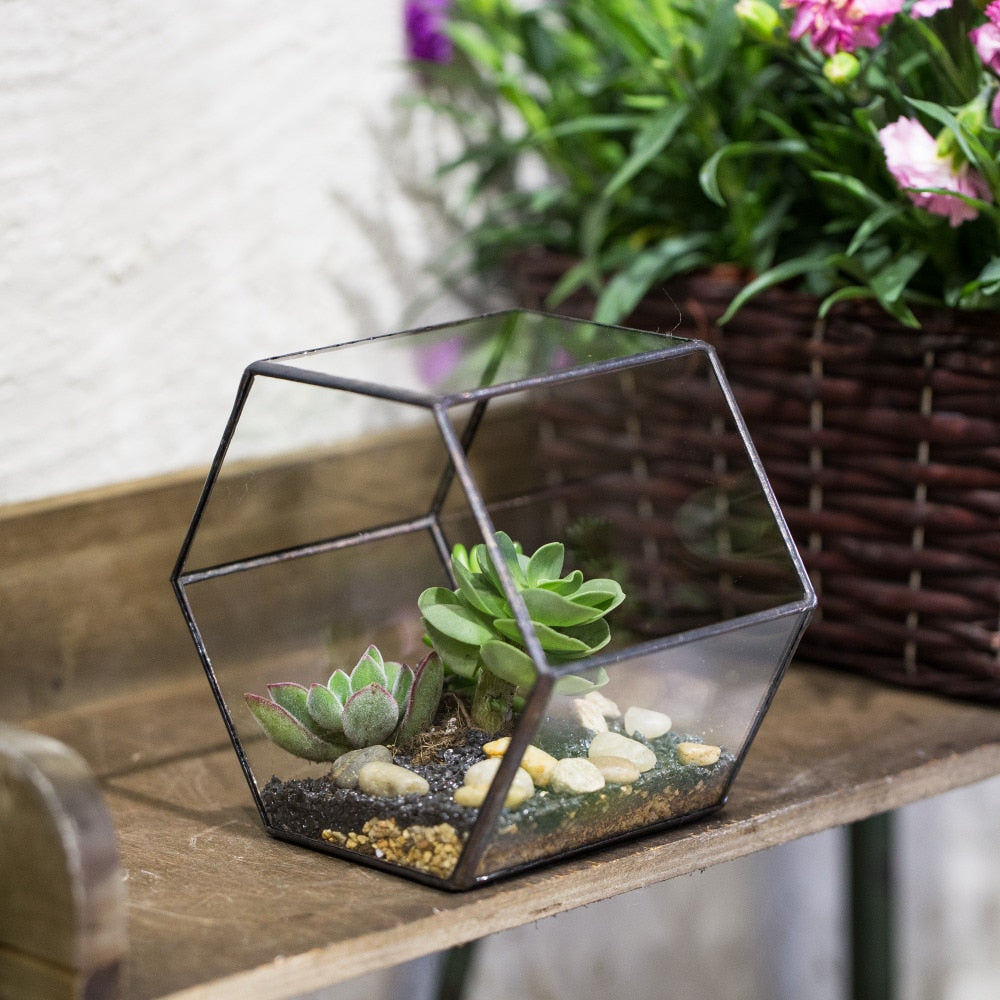 Handmade Thick Geometric Hexagon Glass Terrarium for Succulent Moss