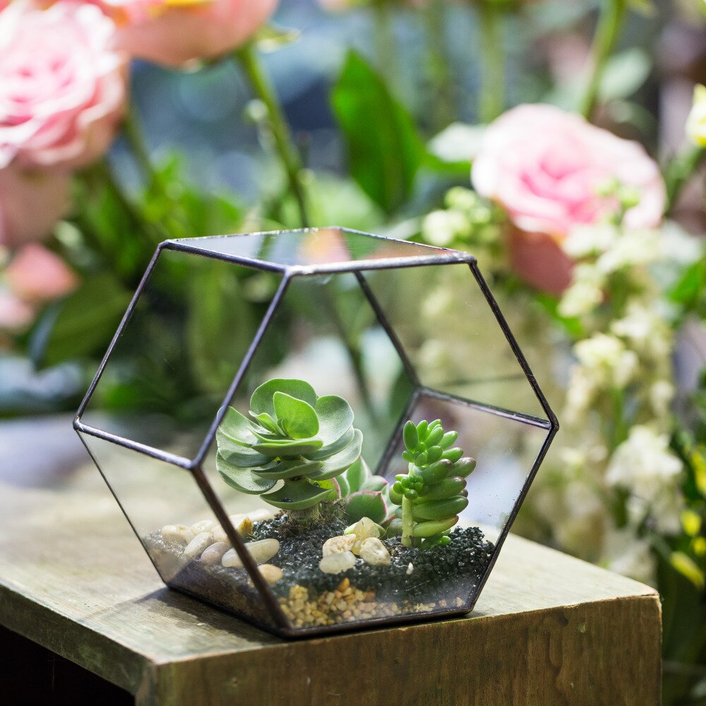 Handmade Thick Geometric Hexagon Glass Terrarium for Succulent Moss Airplants - NCYPgarden