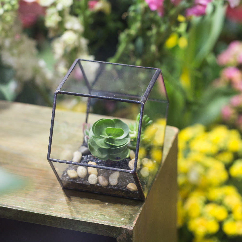 Handmade Thick Geometric Hexagon Glass Terrarium for Succulent Moss Airplants - NCYPgarden