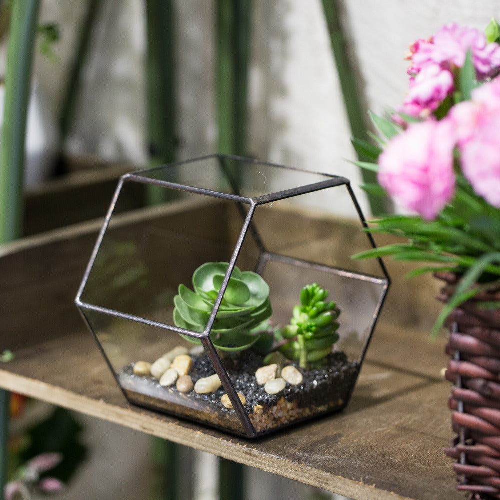 Handmade Thick Geometric Hexagon Glass Terrarium for Succulent Moss Airplants - NCYPgarden