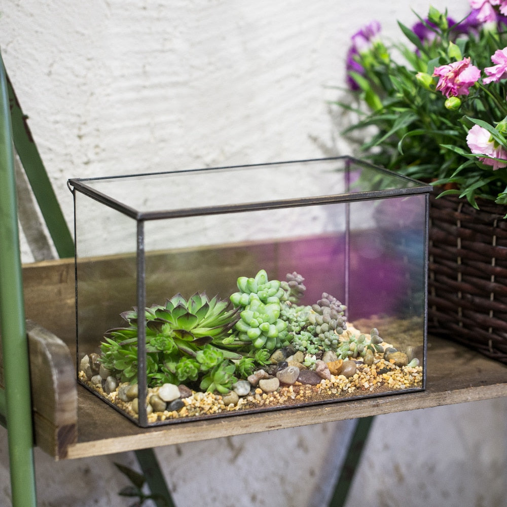 Handmade Rectangle Clear Glass Geometric Terrarium Box with Lid for Succulents Micro Landscape - NCYPgarden