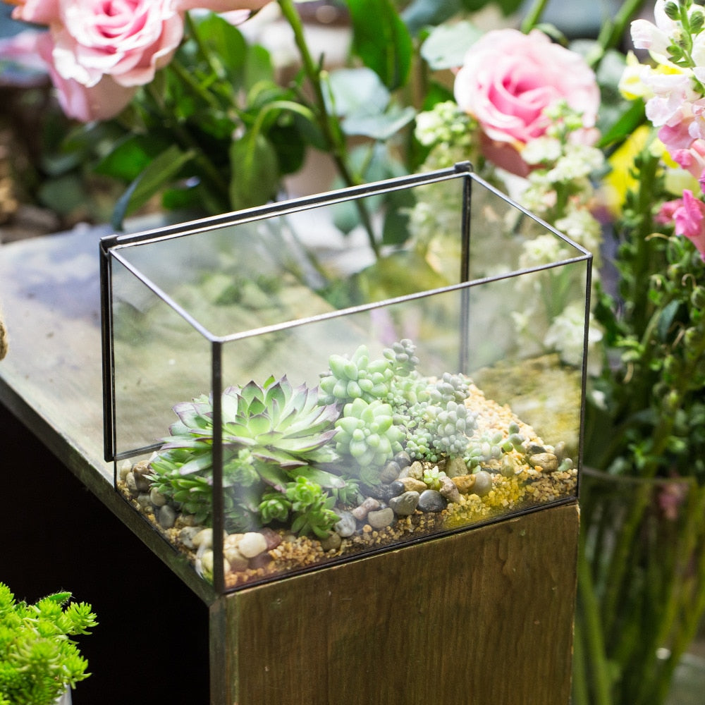 Handmade Rectangle Clear Glass Geometric Terrarium Box with Lid for Succulents Micro Landscape - NCYPgarden